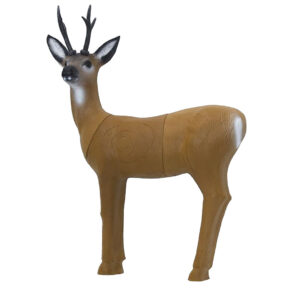 Roe Buck