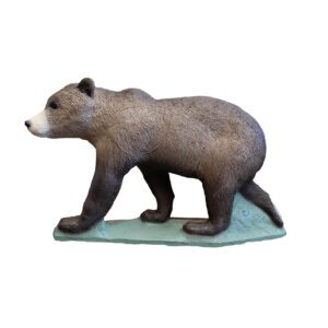 Bear Cub