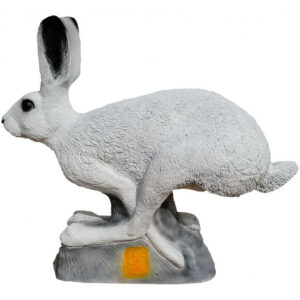 Snow Hare