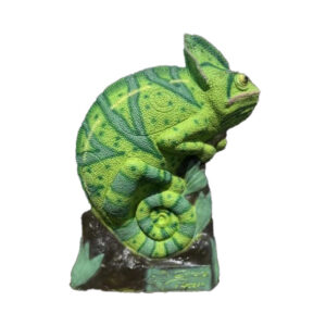 Chameleon